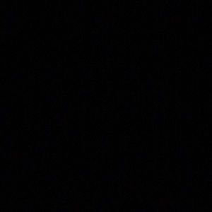 Meet your Posher, Donavan